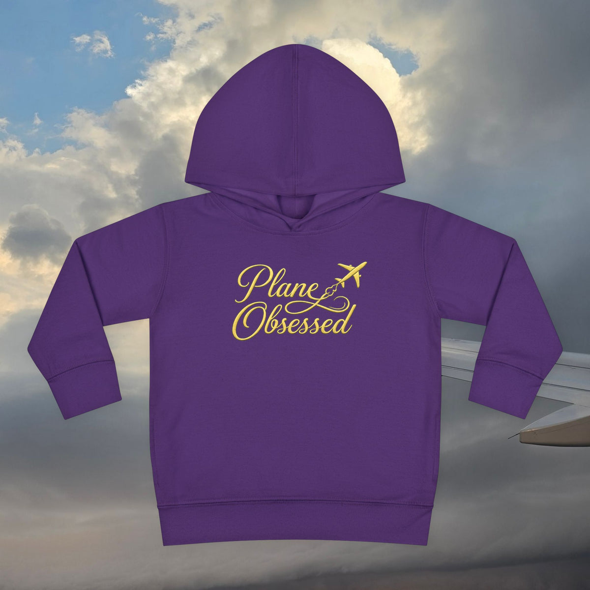 Toddler Hoodie - 'Plane Obsessed' Cute Cloud & Flight Mode Airplane Pullover